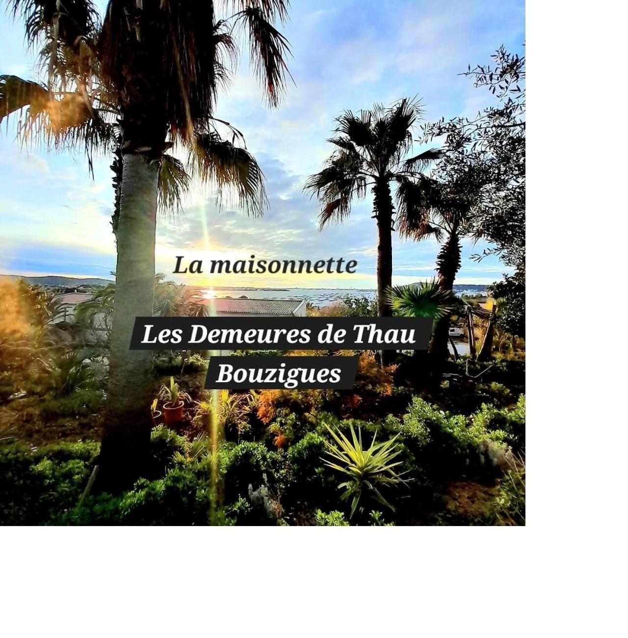 Les Demeures De Thau Bouzigues